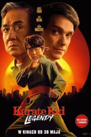Karate Kid: Legendy (2025) film online