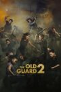 The Old Guard 2 (2025) film online